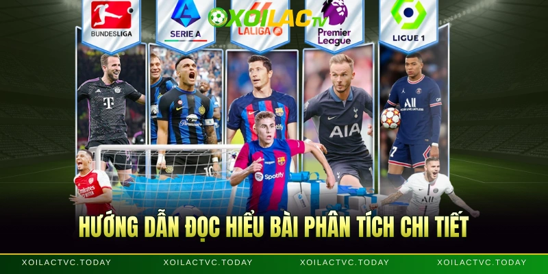 Hướng dẫn đọc hiểu bài phân tích chi tiết