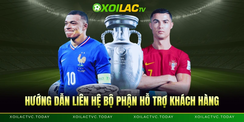 Hướng dẫn liên hệ bộ phận hỗ trợ khách hàng