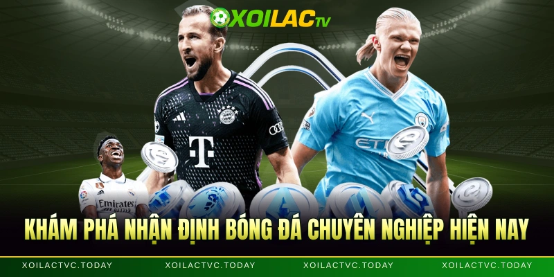 Khám phá nhận định bóng đá chuyên nghiệp hiện nay