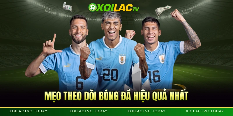 Mẹo theo dõi bóng đá hiệu quả nhất