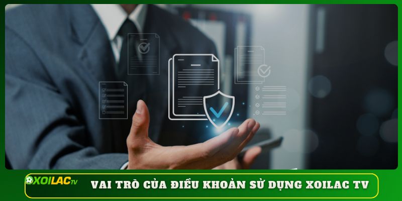 Vai trò của điều khoản sử dụng Xoilac TV